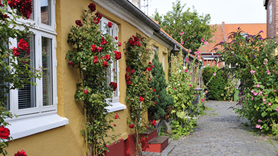 Bornholm - solskensn 4 dagar (buss frn stergtland)