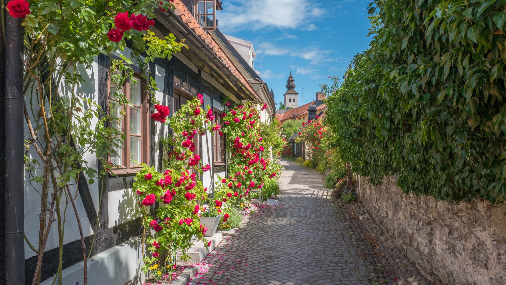 Hemorten till Visby