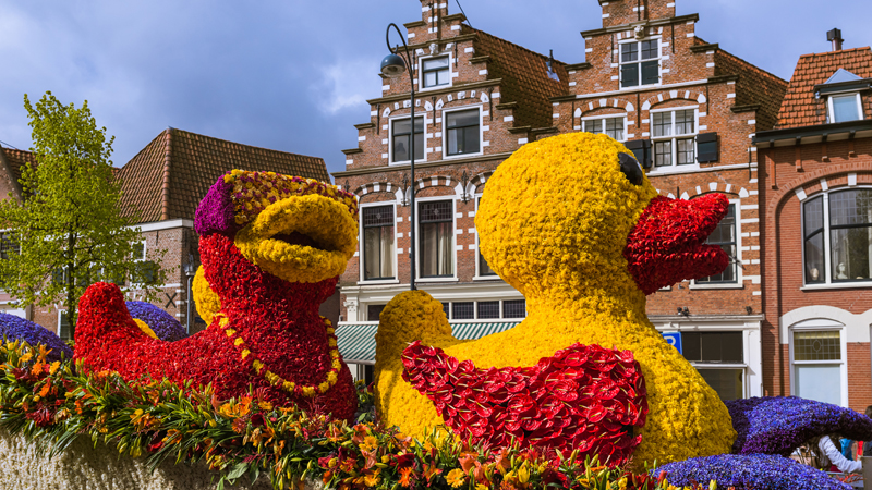 Blomstertget och Amsterdam med kanaltur