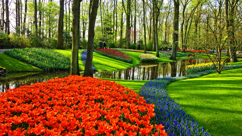 Blomsterauktion, Keukenhof och Panorama Mesdag