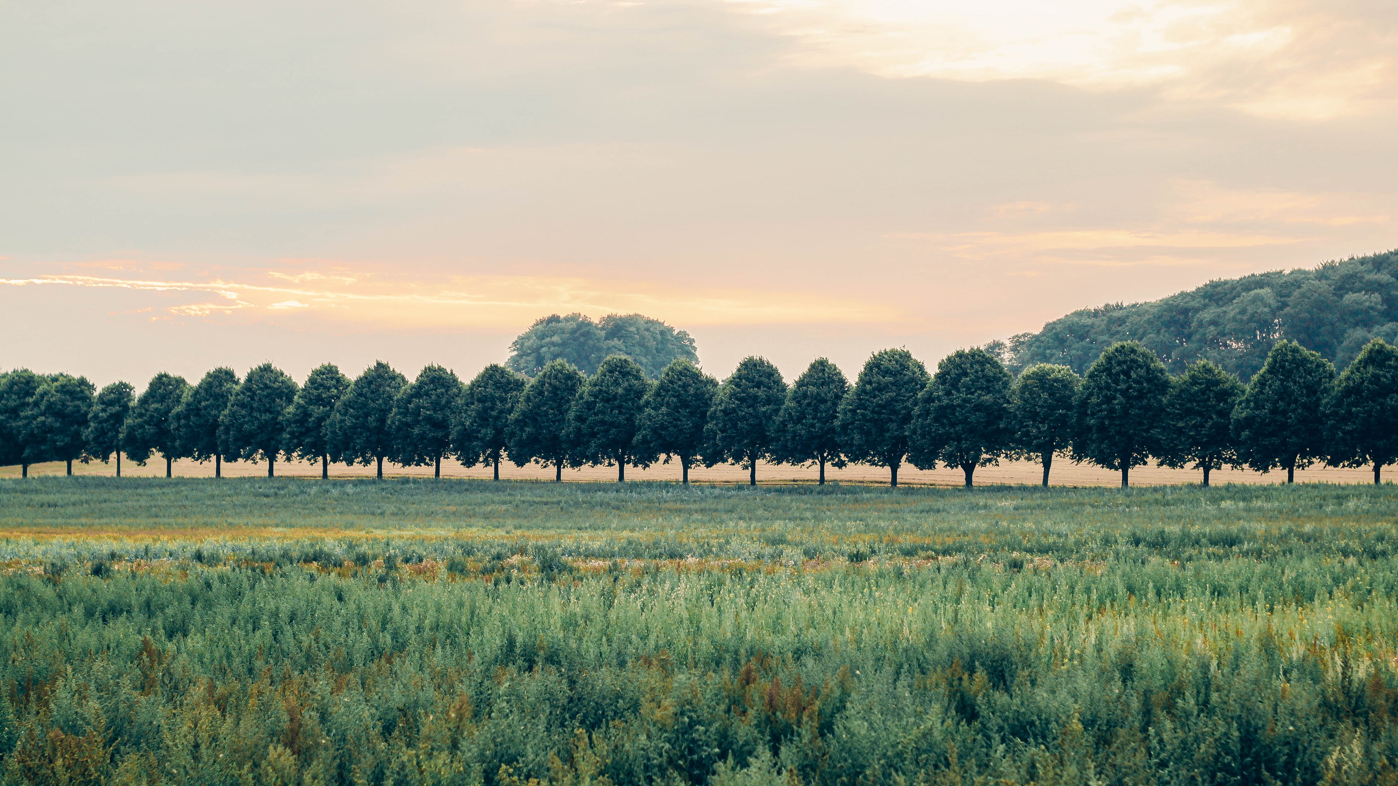 Sk�ne och �sterlen 3 dagar