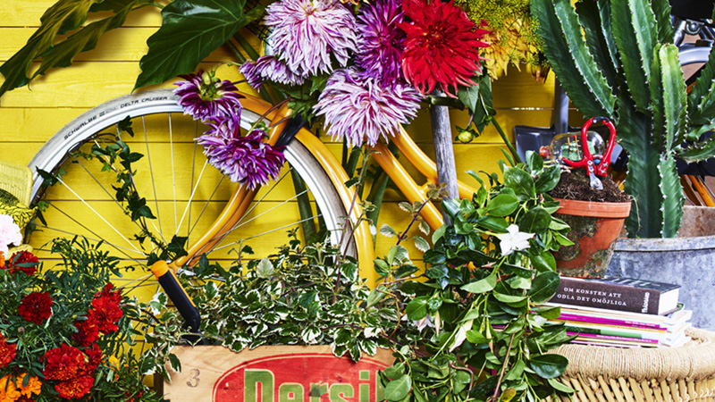 Stockholmsmssan i lvsj