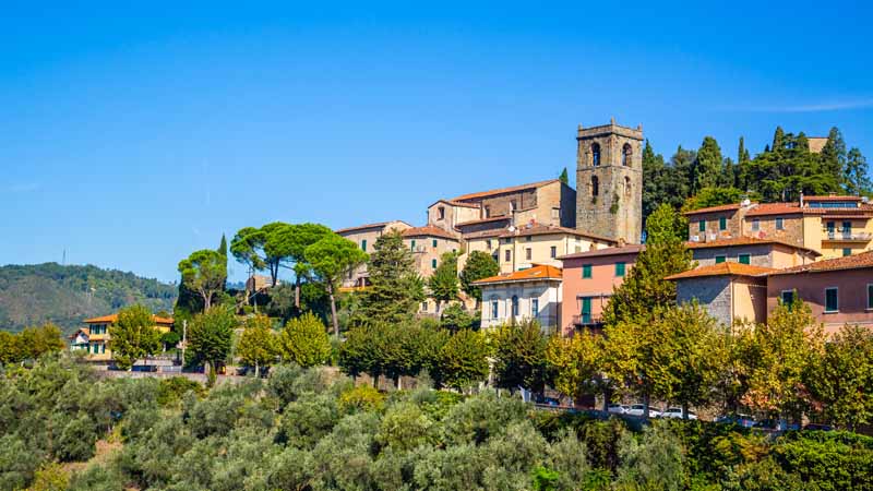 Utflykt på ”hemmaplan” med Bergbanetur och besök på olivgård!